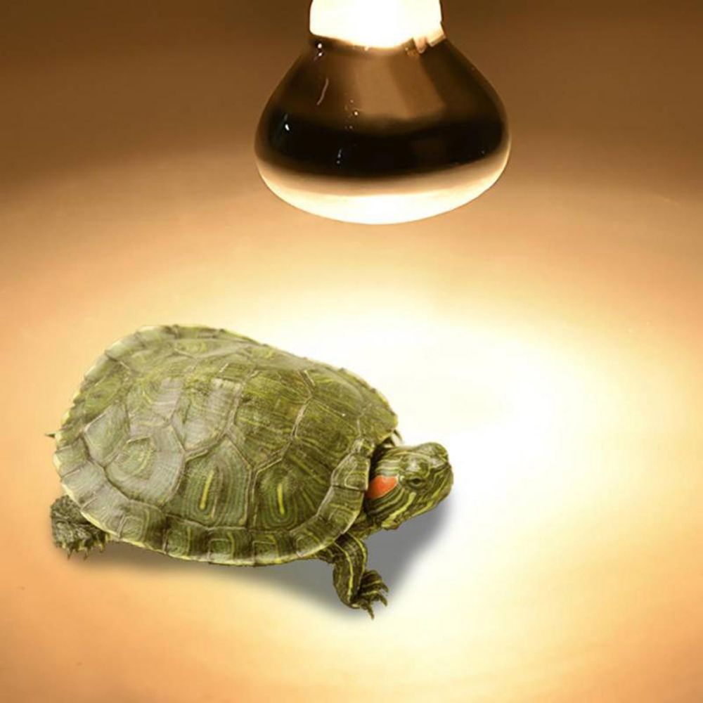 Basking Bulb Halogen - Lizard Heater Heat Lamp UVA Light