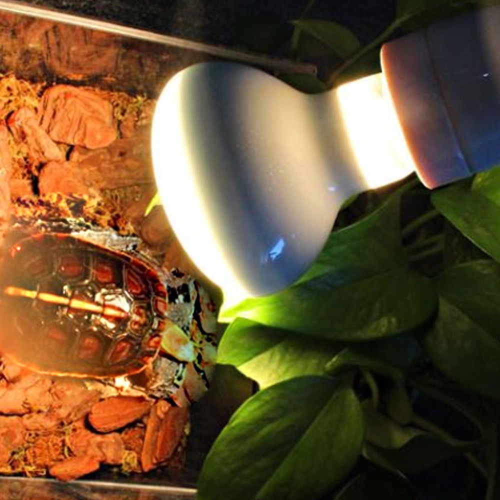 Basking Bulb Halogen - Lizard Heater Temperature Controller Basking Light