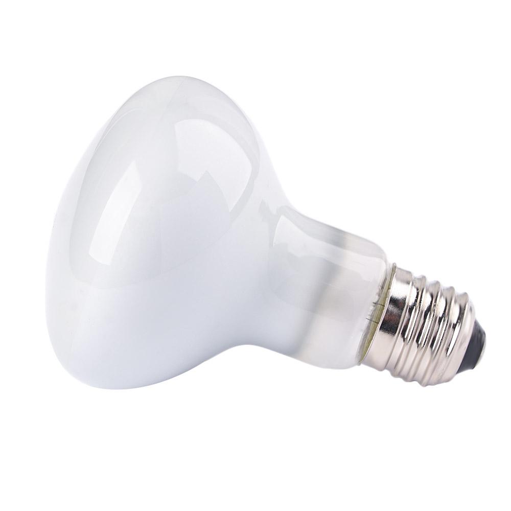 Basking Bulb Halogen - Lizard Temperature Controller Heat Lamp Halogen