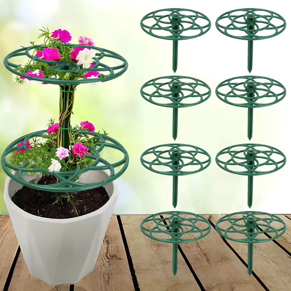 Vine Climbing Plastic - Durable S/M/L Bonsai Climbing Frame Stackable