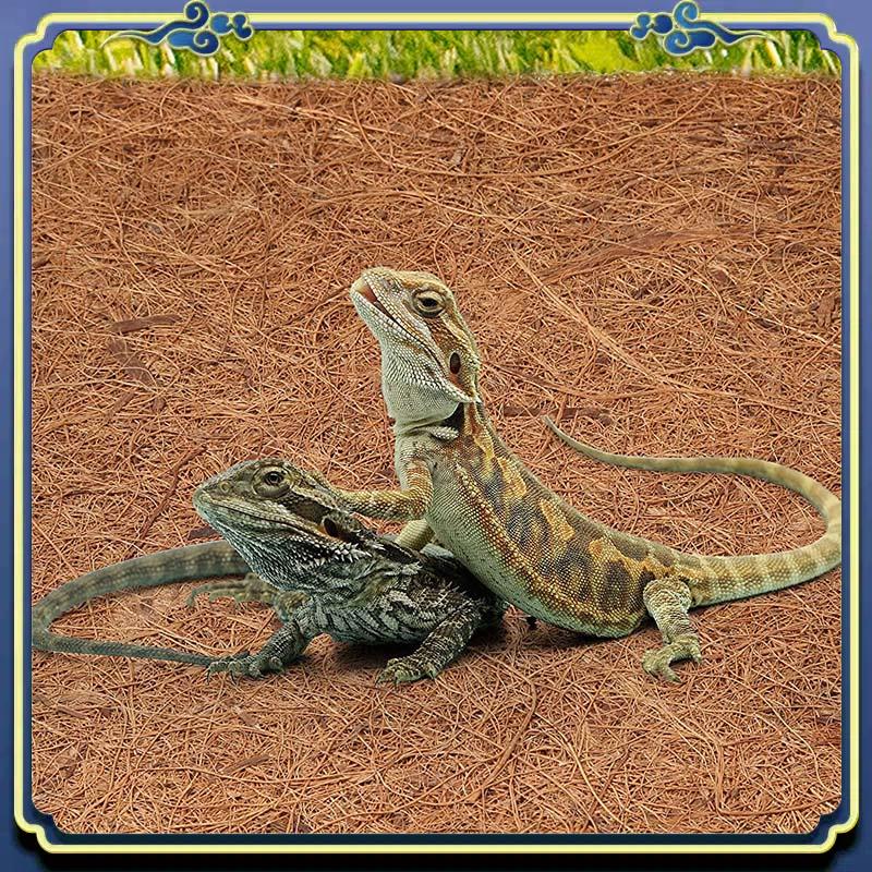 Substrate Coconut Fiber - Latest Natural Coconut Fiber Mat, Reptile