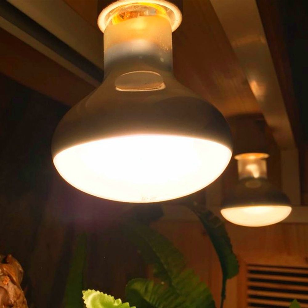 Basking Bulb Halogen - Turtle Temperature Controller Heat Lamp Basking
