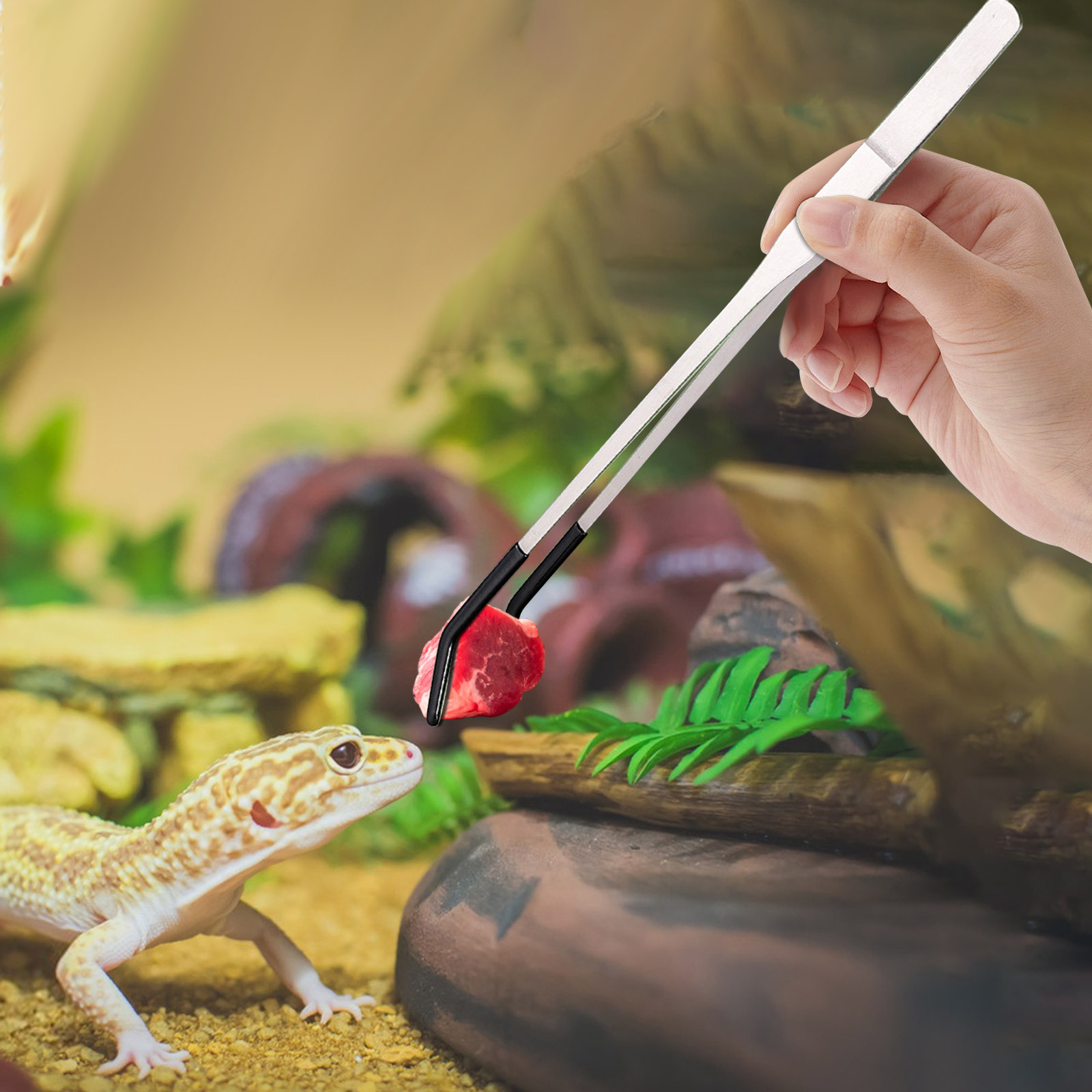 Feeding Tong Stainless - Stainless Steel Reptile Feeding Long Tongs