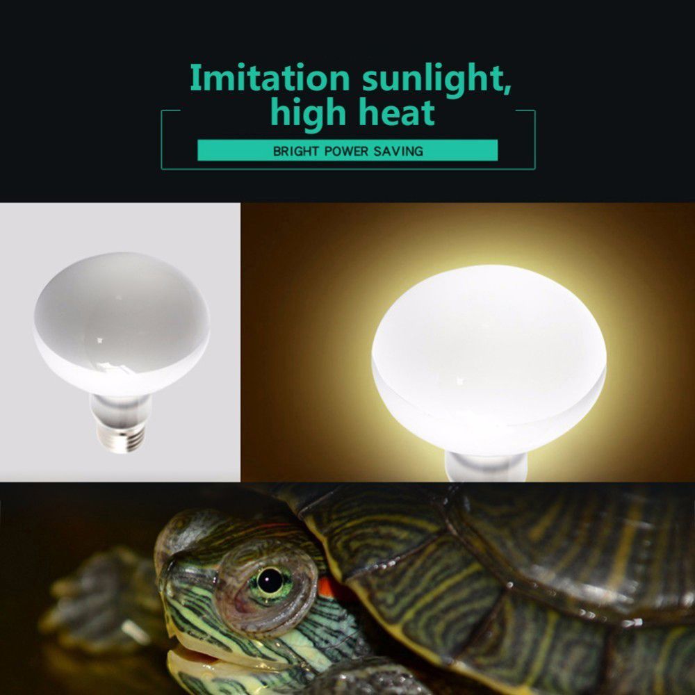Basking Bulb Halogen - Turtle Heater Temperature Controller Reptile UVA