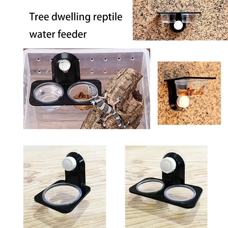 Water Dish Reptile - Reptile Tank Accessories Insect Spider Ants