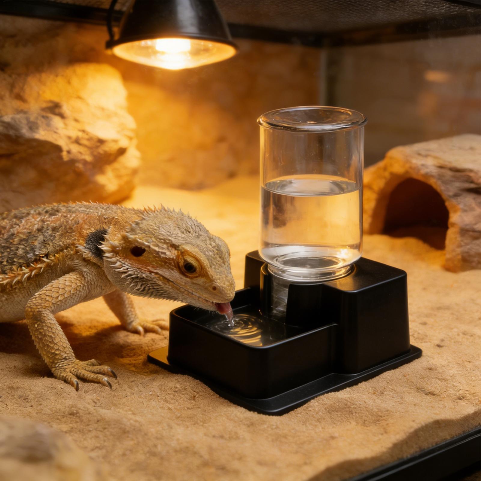 Water Dish Reptile - Bearded Dragon Water Fountain Reptile Automatic