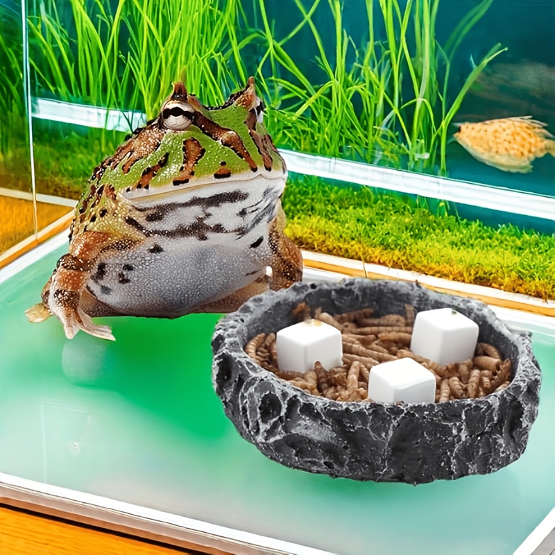 Calcium Powder Reptile - 6Pcs Fish Tank Calcium Block Minerals