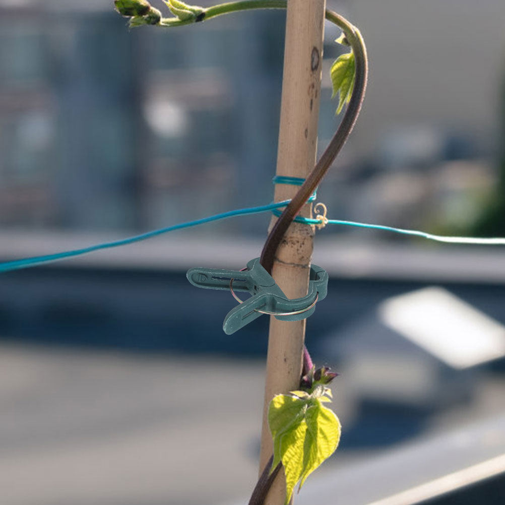 Vine Climbing Plastic - 50 Pcs Garden Clips for Plants