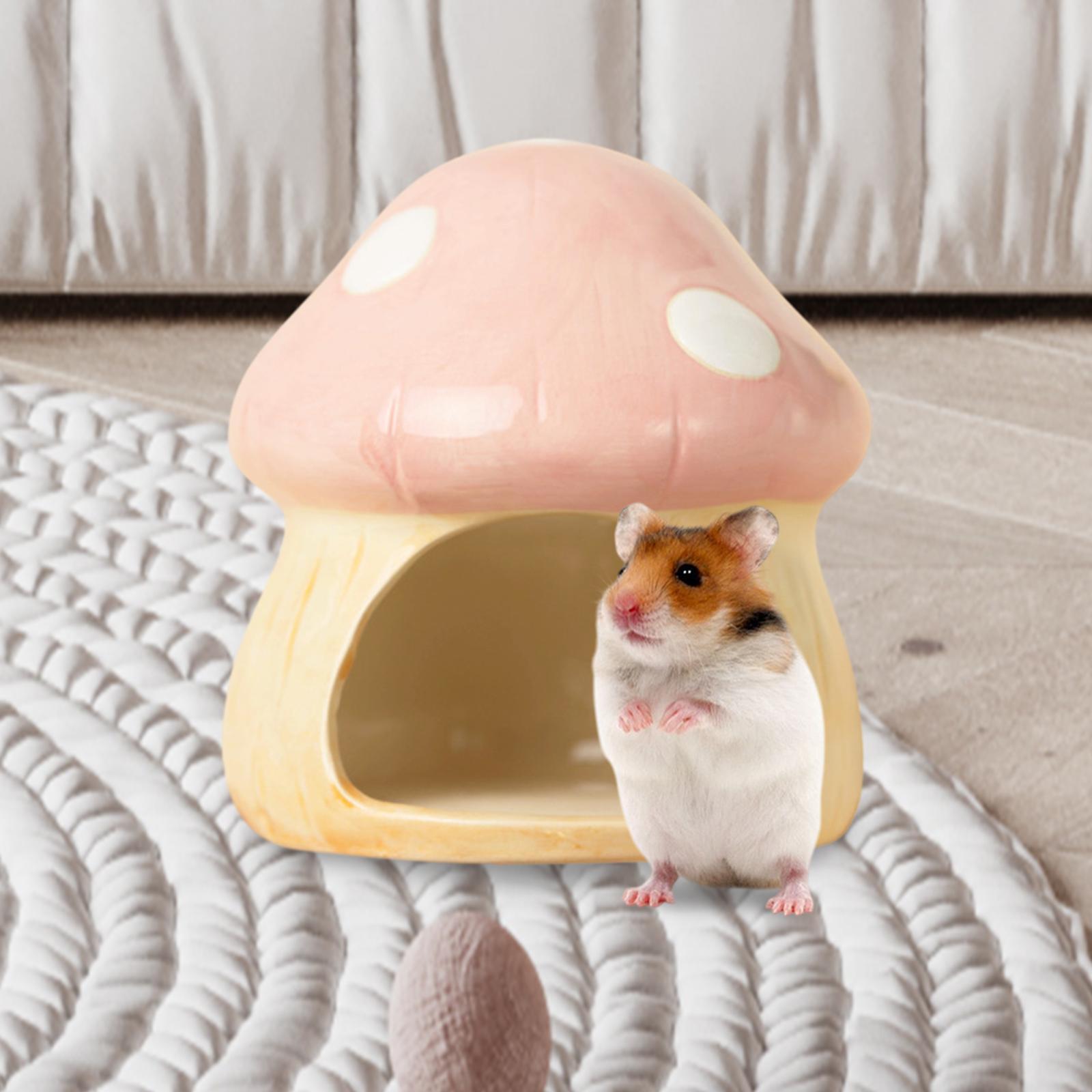 Hide Cave Ceramic - Ceramic Mushroom Hamster Hideout Hamster Hide