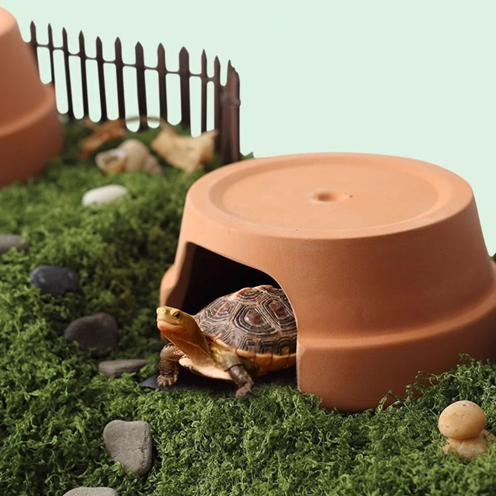 Multifunctional Ceramics Repti - Hide Cave Ceramic review and price
