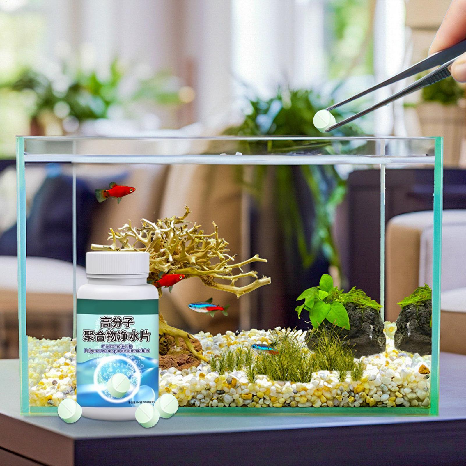 Fish Can Algae Remover Aquariu - Water Dish Reptile review and price