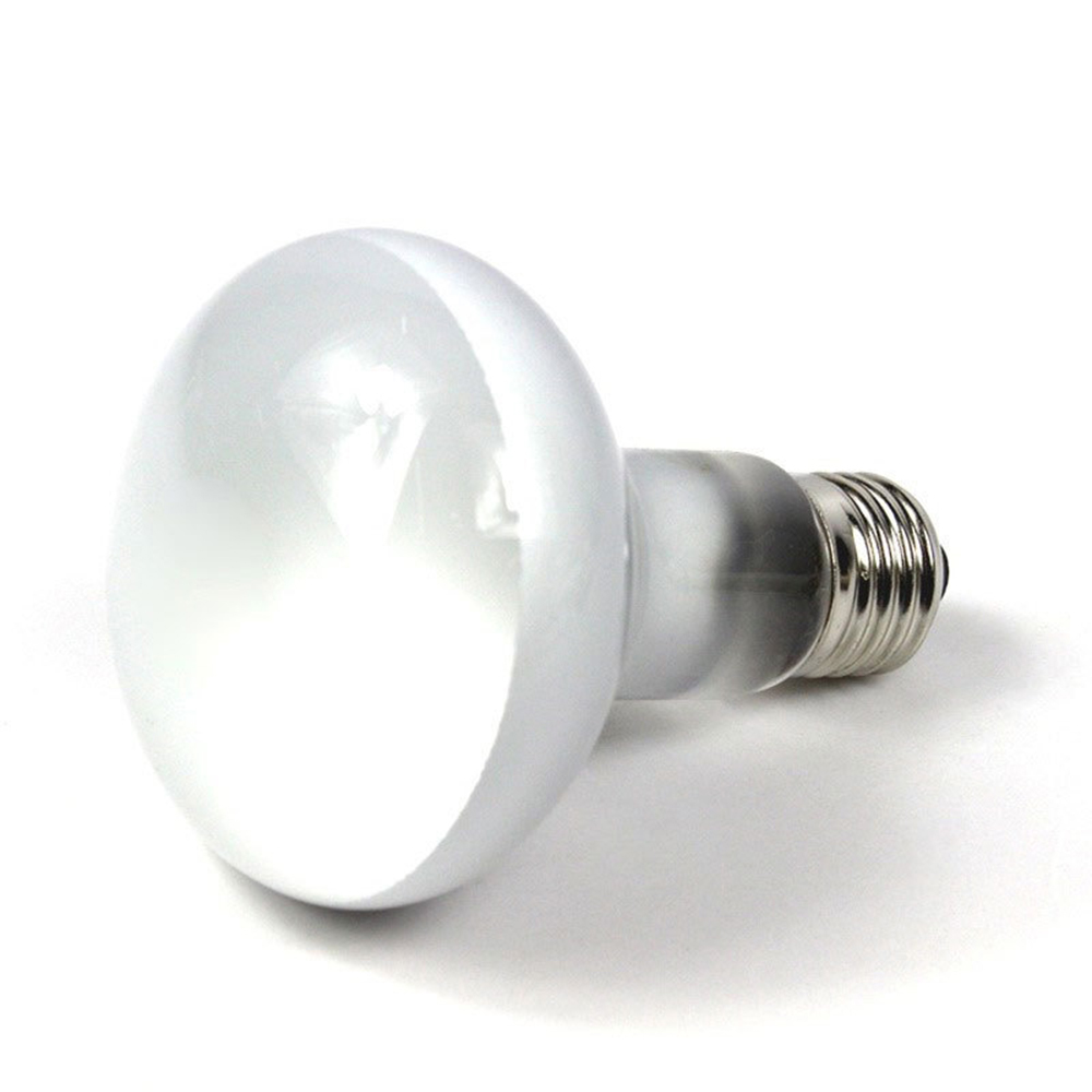 Lizard Heater Temperature Cont - Basking Bulb Halogen review and price