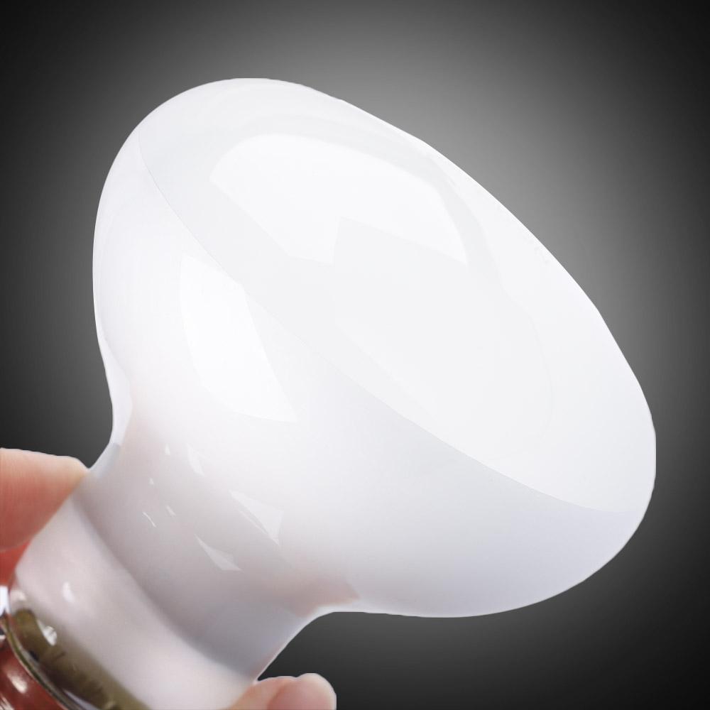 Lizard Heater Temperature Cont - Basking Bulb Halogen review and price