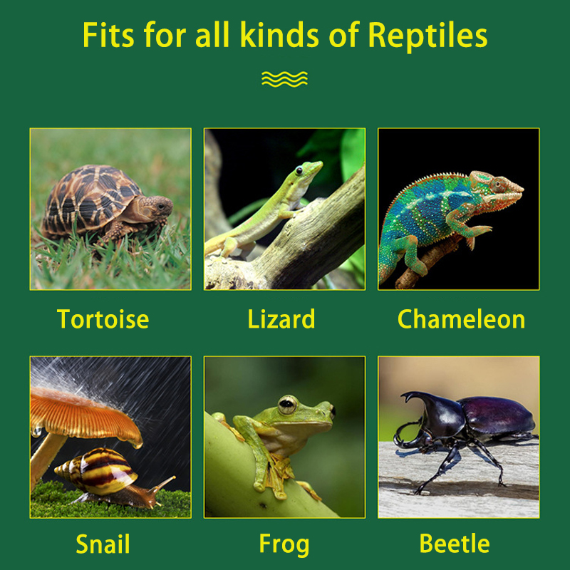 4L Reptile Terrariums Humidifi - Terrarium Fogger Ultrasonic review and price