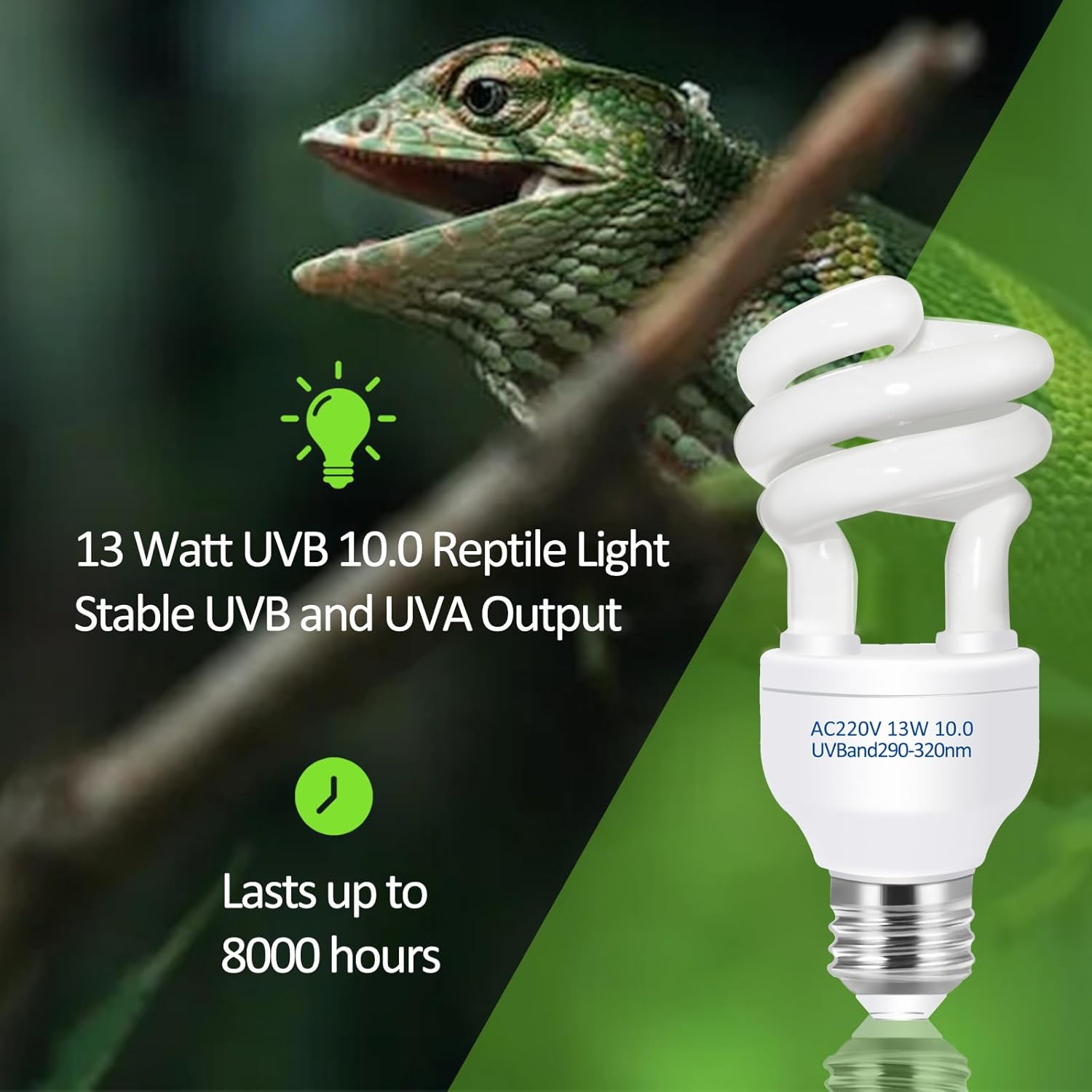 UVB 5.0 10.0 Reptile Heating L - Calcium Powder Reptile review and price