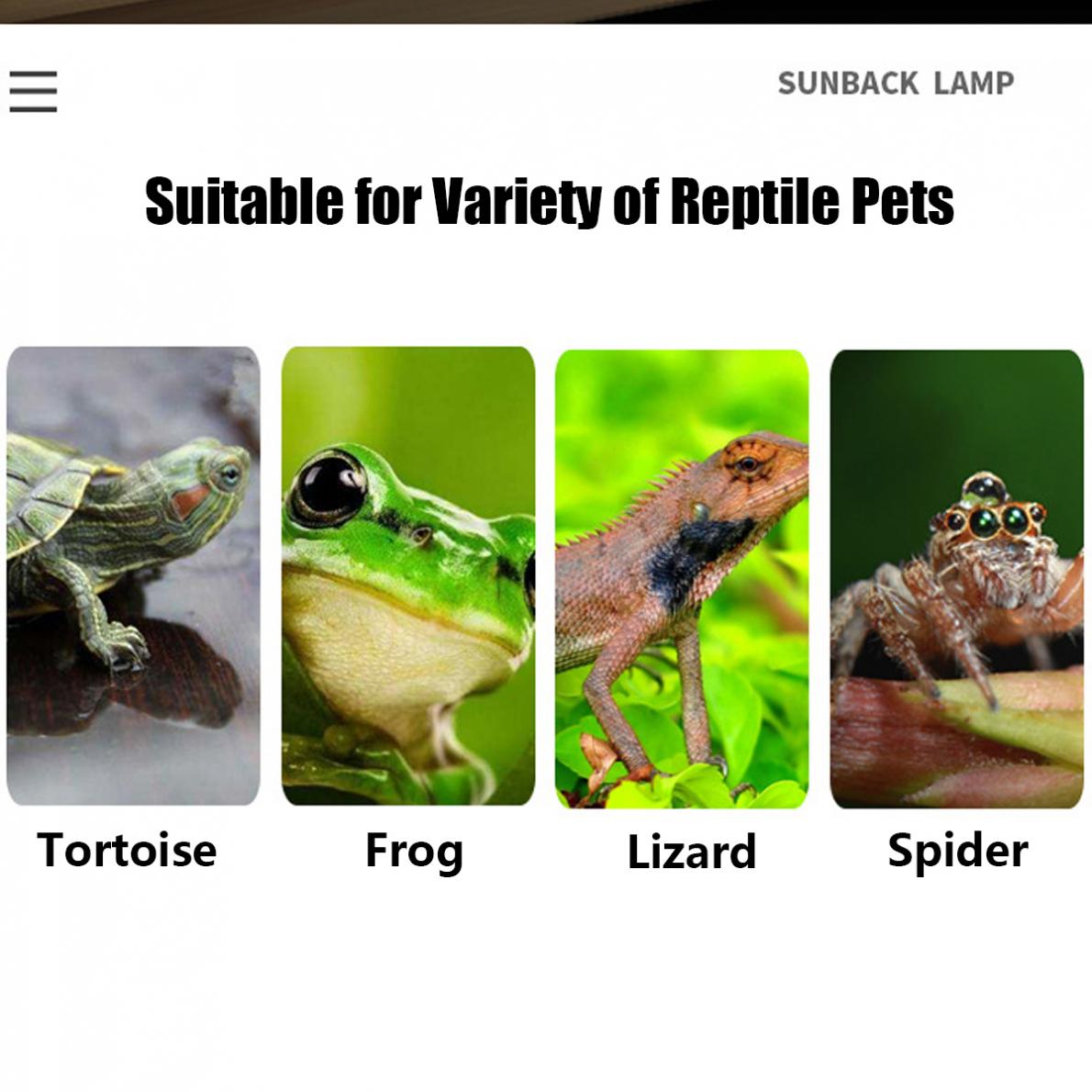 Halogen Lamp 25/50/75W Reptile - Basking Bulb Halogen review and price