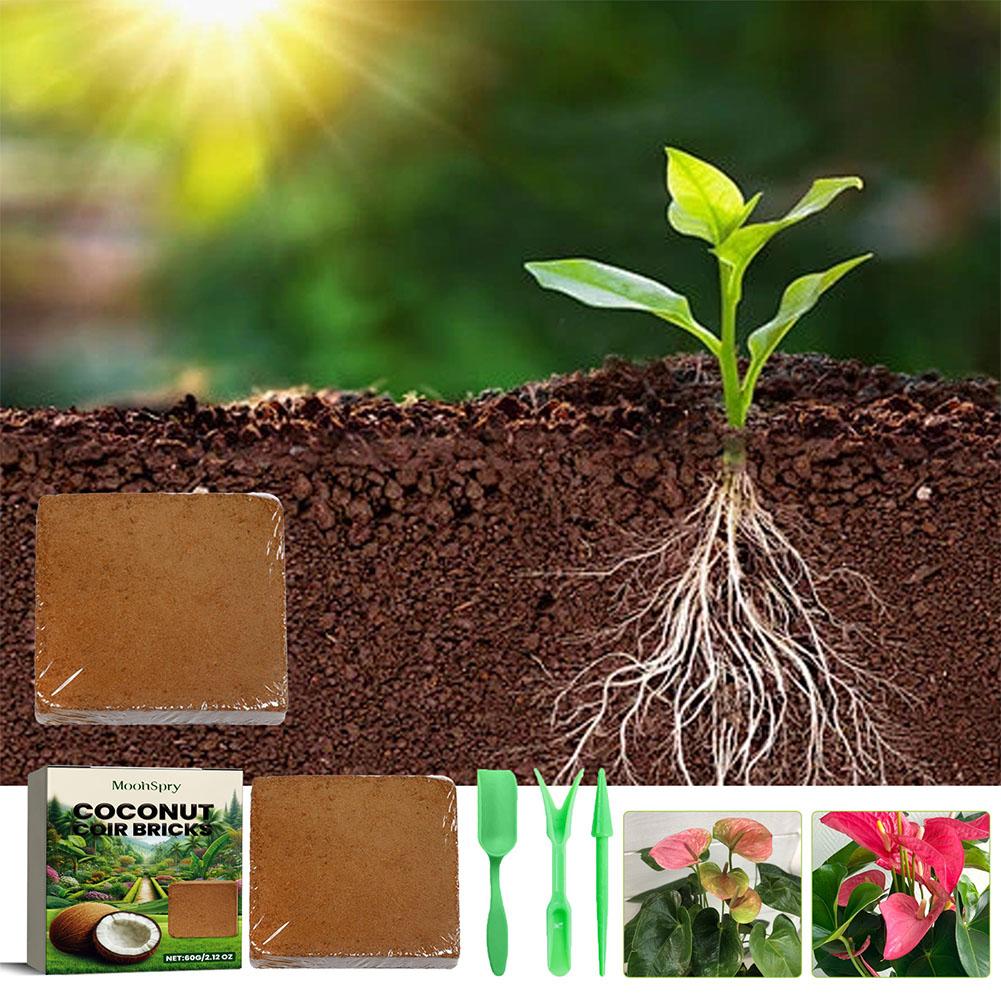 Reptile Coconut Soil Coir Pres - Substrate Coconut Fiber review and price