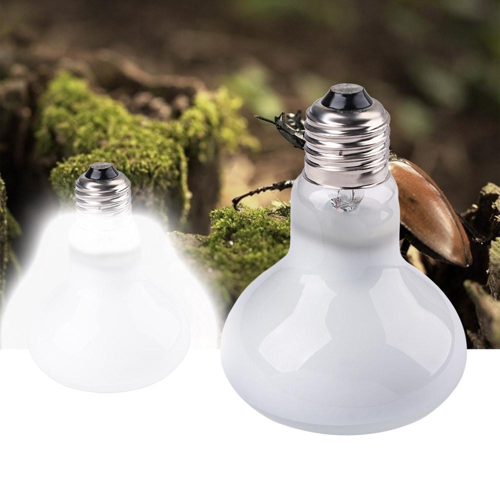 Lizard Temperature Controller  - Basking Bulb Halogen review and price
