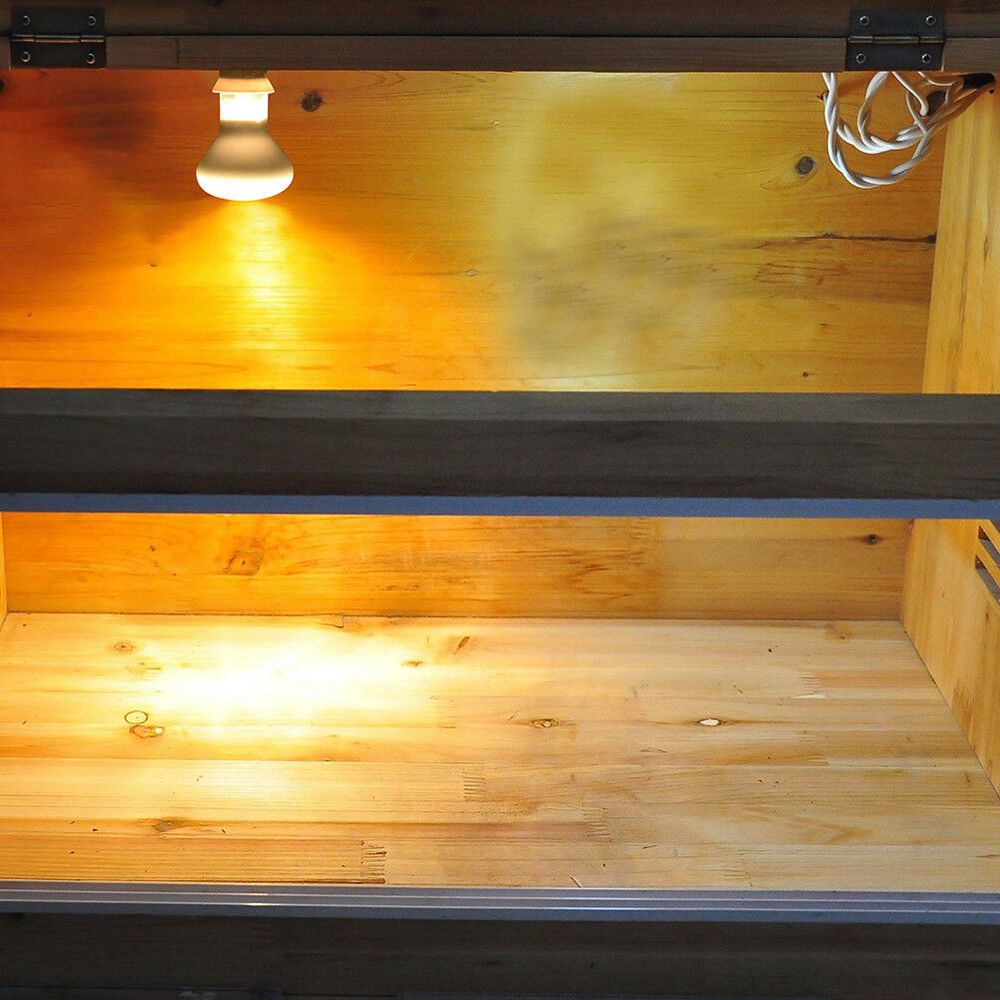 Lizard Temperature Controller  - Basking Bulb Halogen review and price