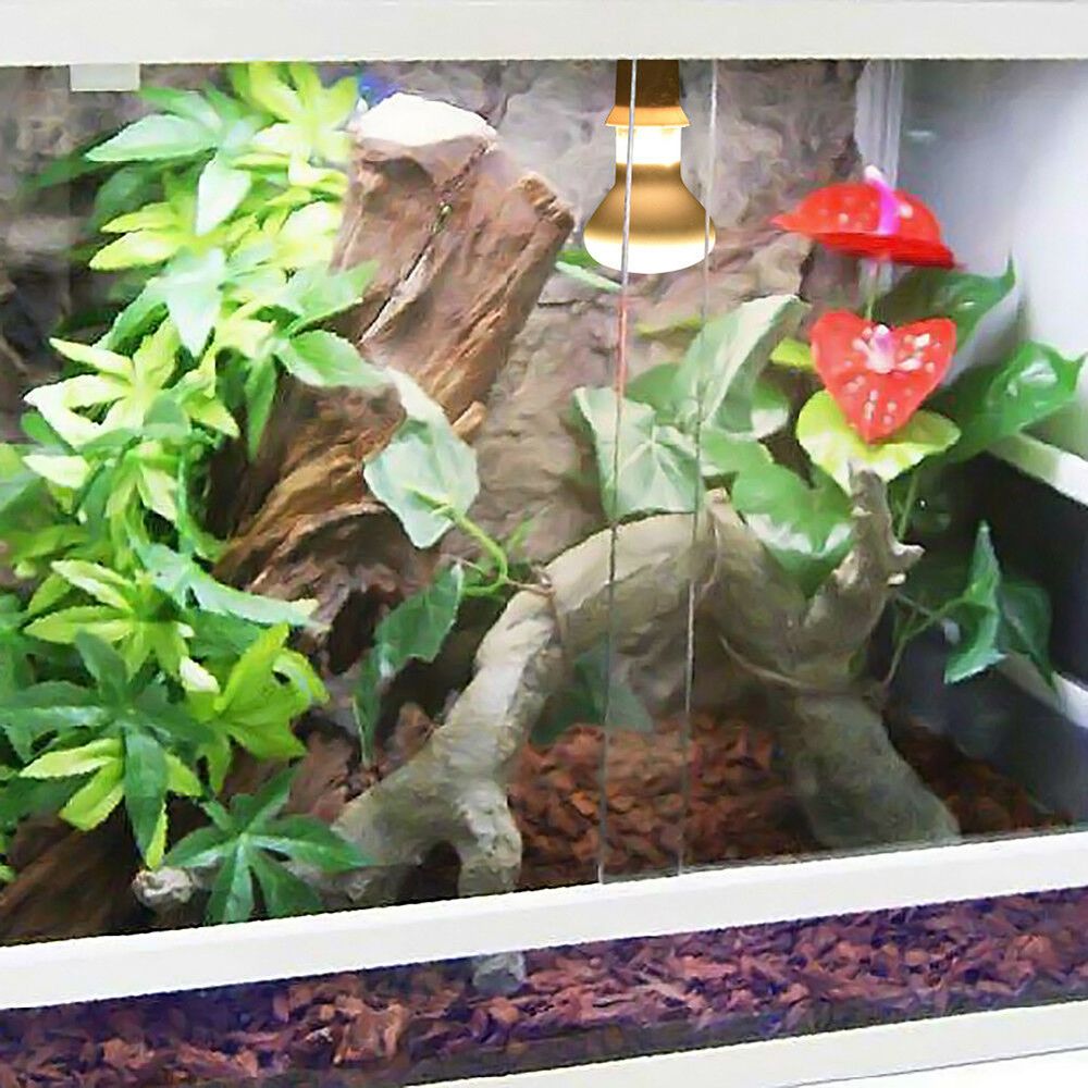 Lizard Temperature Controller  - Basking Bulb Halogen review and price
