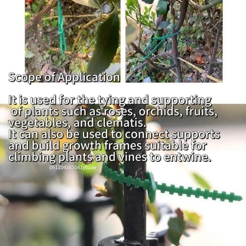 50-1000pcs Adjustable Plastic  - Vine Climbing Plastic review and price