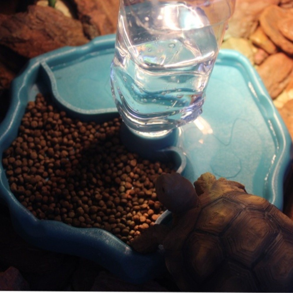 New Removable Reptile Feeder E - Water Dish Reptile review and price
