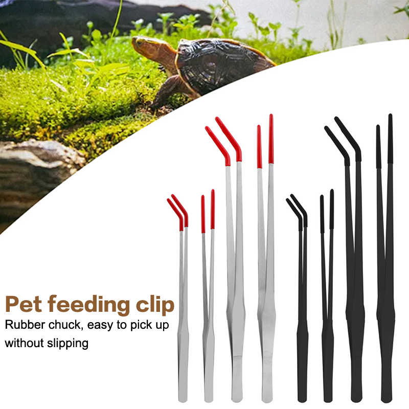 Stainless Steel Fish Tank Main - Feeding Tong Stainless review and price