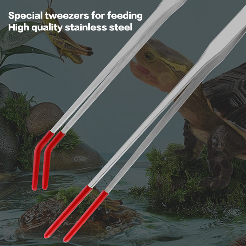 Stainless Steel Fish Tank Main - Feeding Tong Stainless review and price