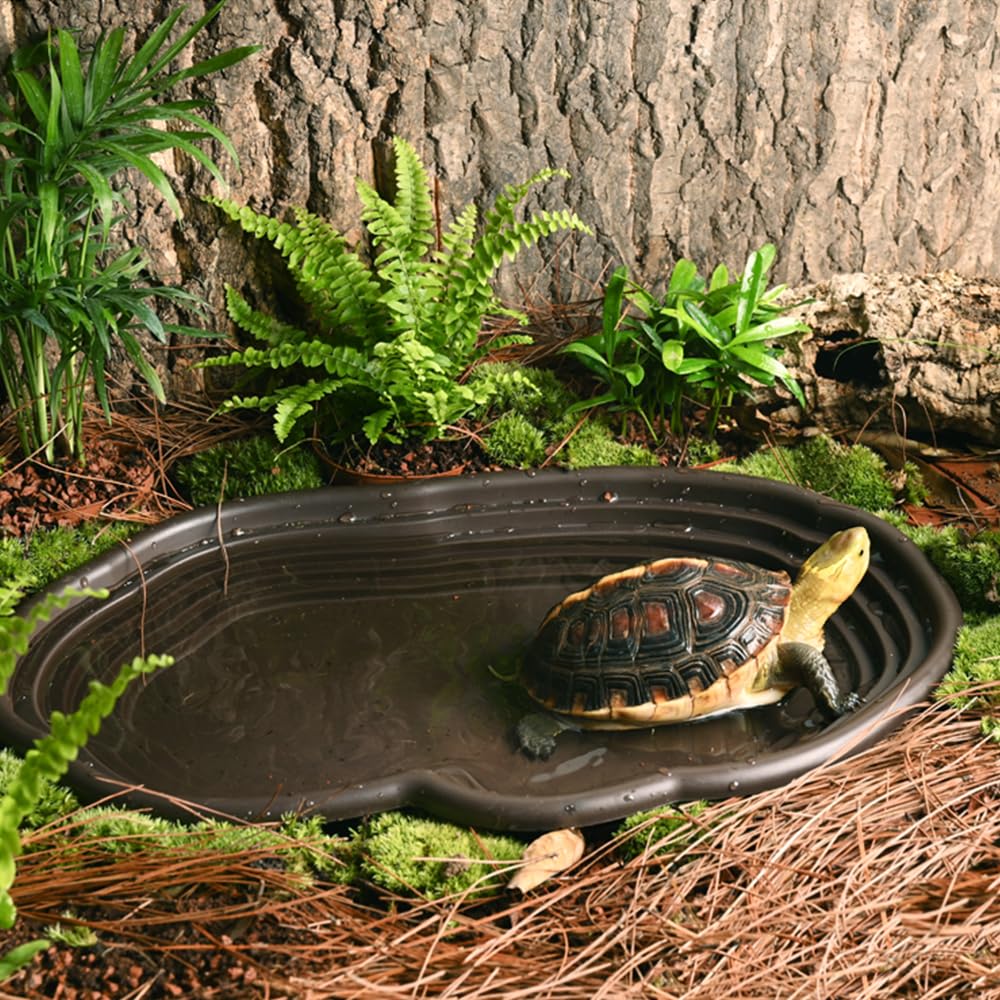 Reptile Bathing Dish Amphibian - Water Dish Reptile review and price