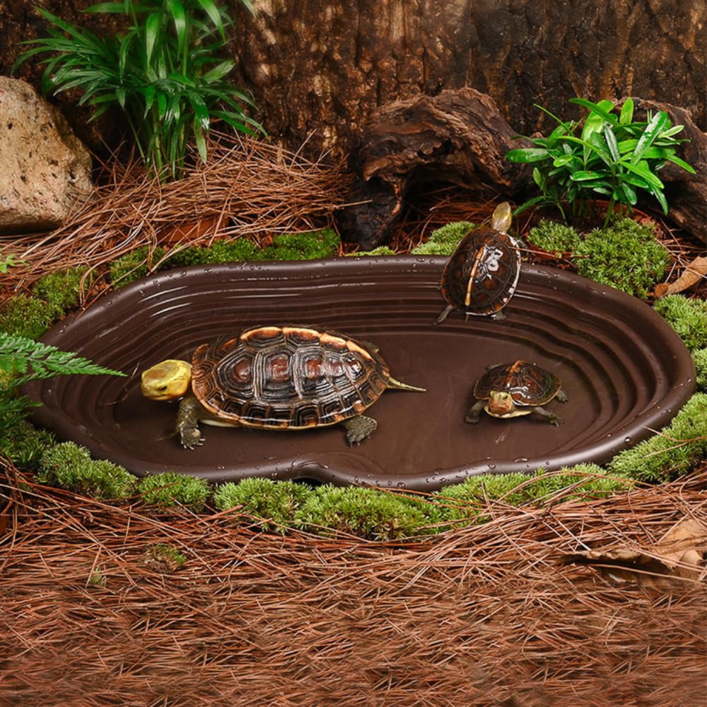 Reptile Bathing Dish Amphibian - Water Dish Reptile review and price
