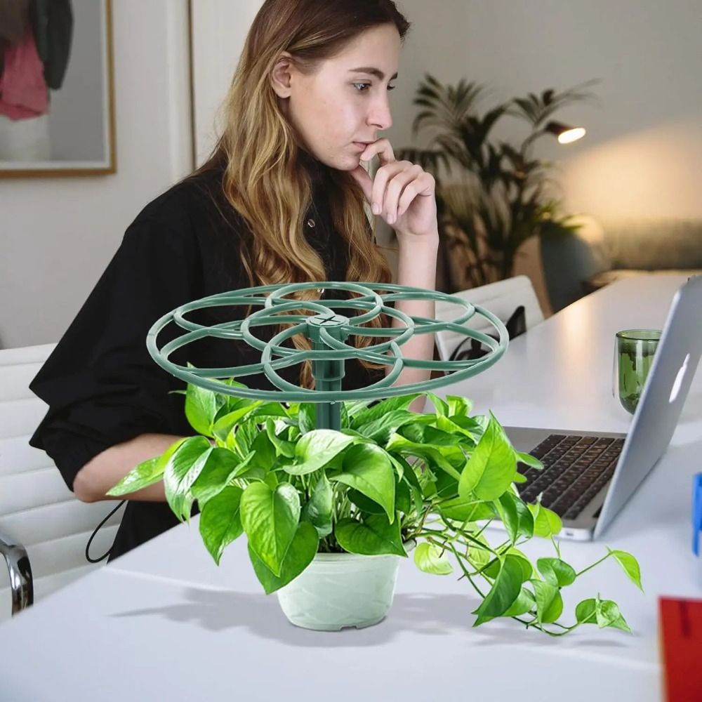 Durable S/M/L Bonsai Climbing  - Vine Climbing Plastic review and price