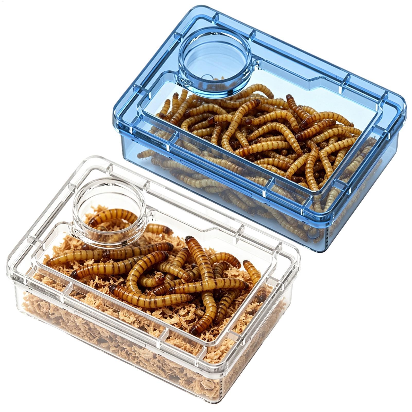 Reptile Escape Proof Feeding D - Calcium Powder Reptile review and price