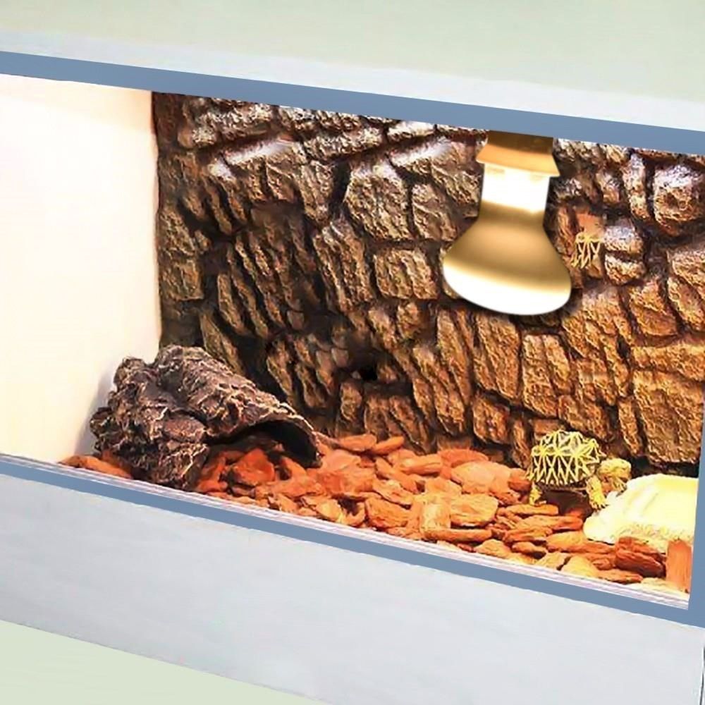 Turtle Temperature Controller  - Basking Bulb Halogen review and price