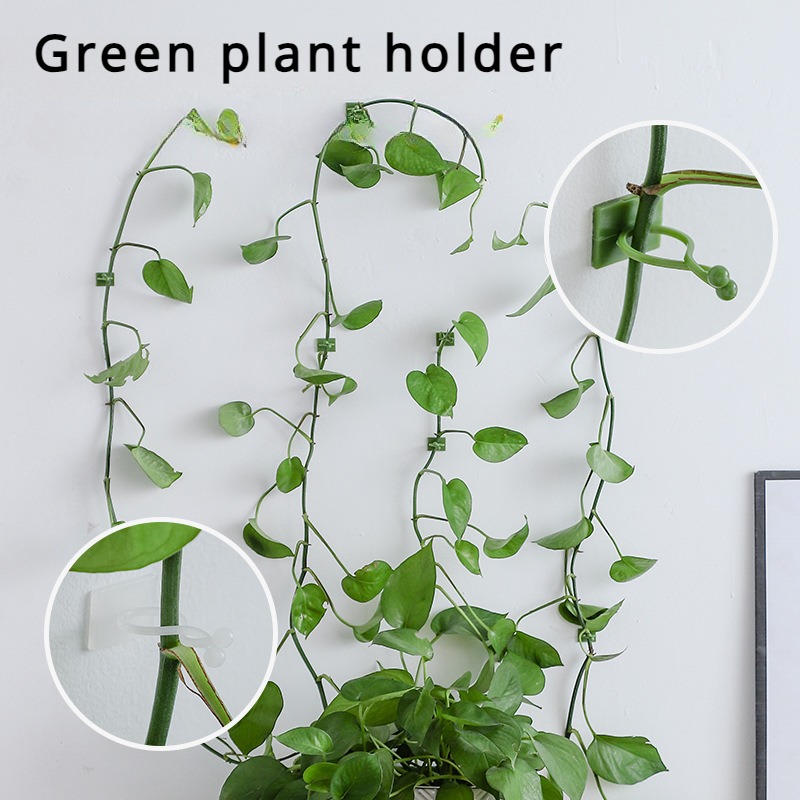 10Pcs Plant Wall Fixing Hooks  - Vine Climbing Plastic review and price