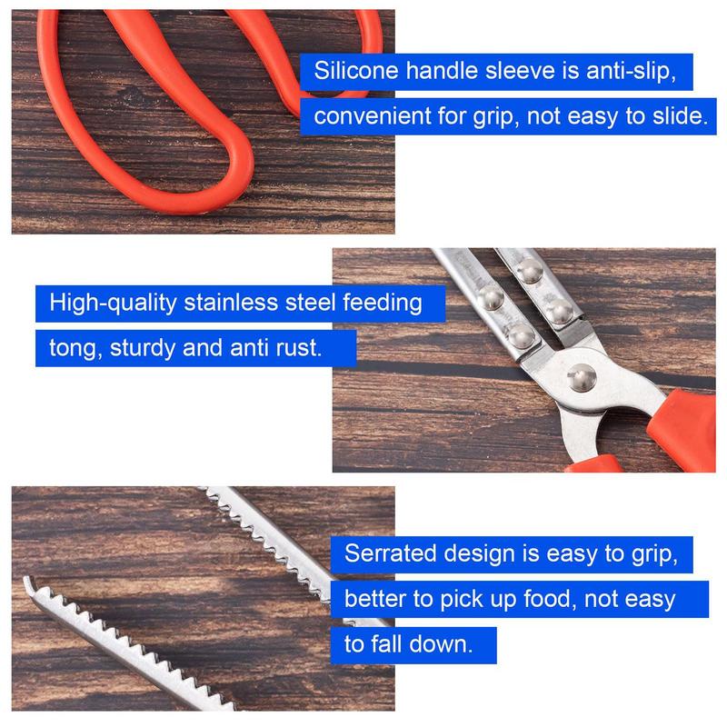 Stainless Steel Reptile Feeder - Feeding Tong Stainless review and price
