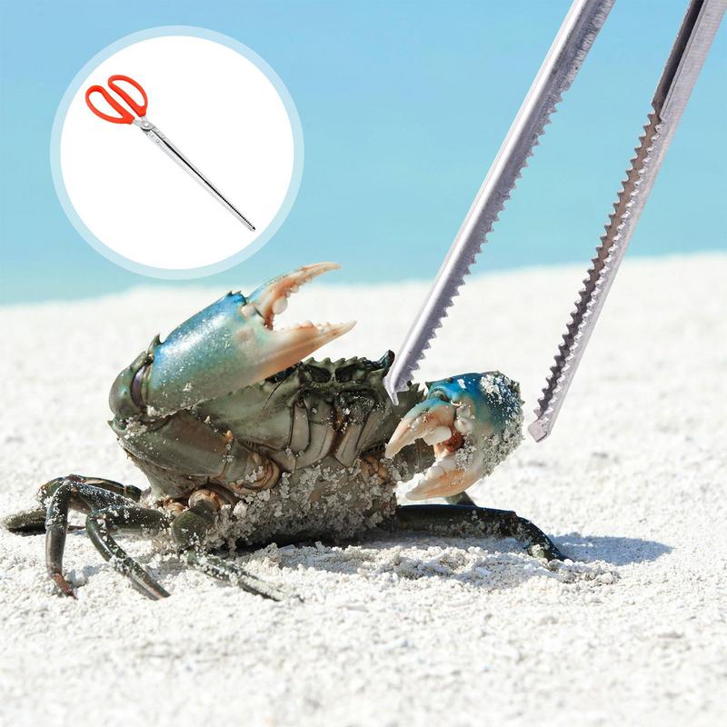 Stainless Steel Reptile Feeder - Feeding Tong Stainless review and price