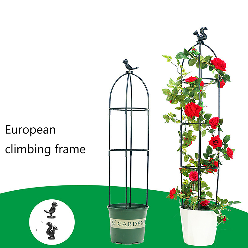 C 1Set Climbing Plant Trellis  - Vine Climbing Plastic review and price