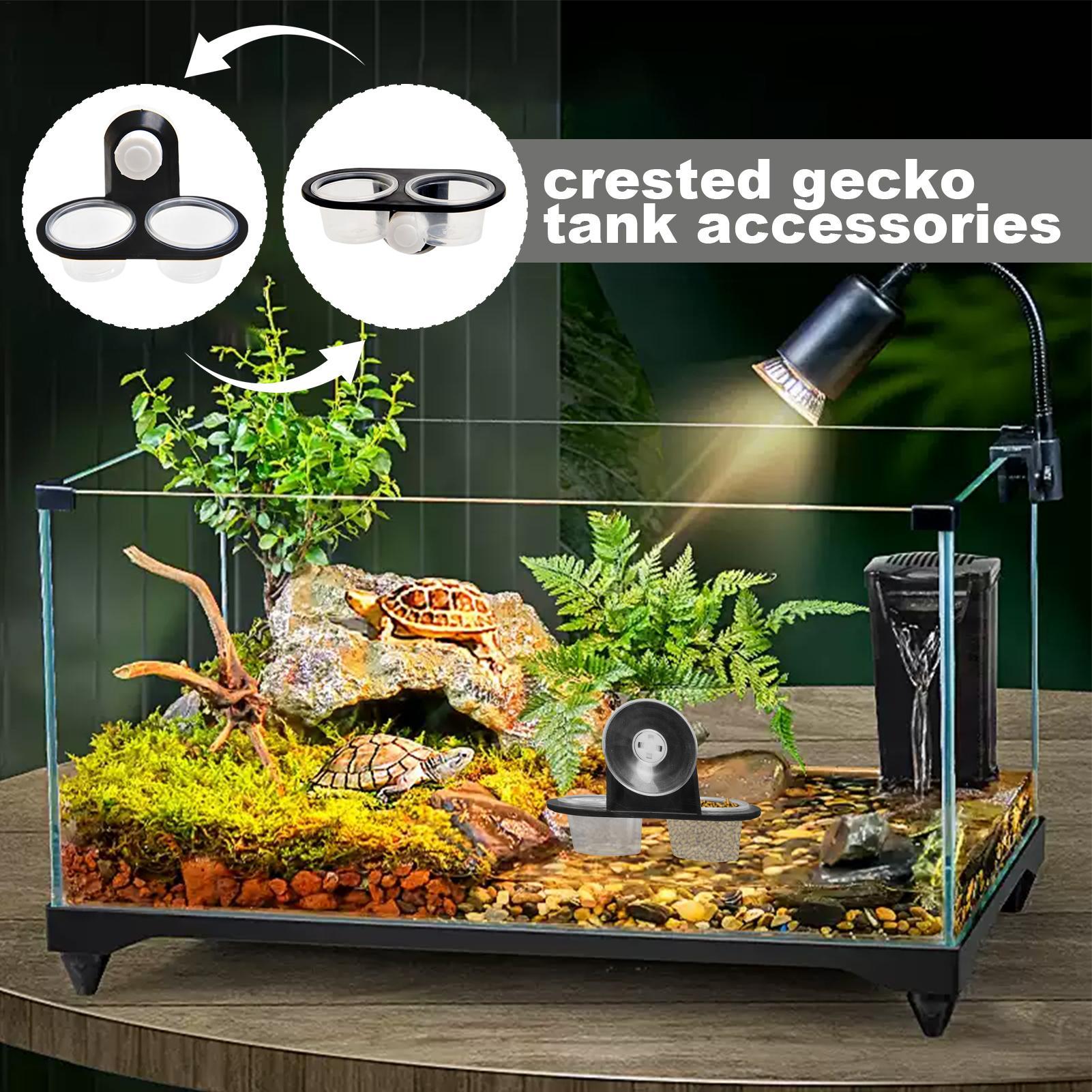 Gecko Food Dish Gecko Water Di - Water Dish Reptile review and price