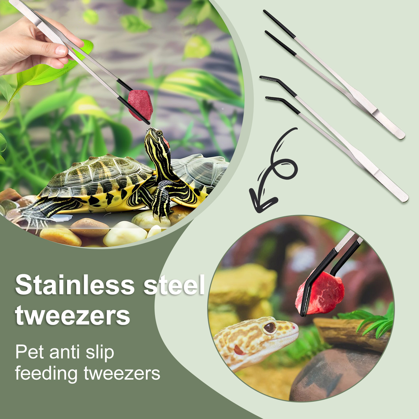 Stainless Steel Reptile Feedin - Feeding Tong Stainless review and price