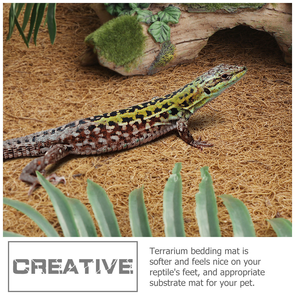 Natural Coconut Fiber Reptile  - Substrate Coconut Fiber review and price