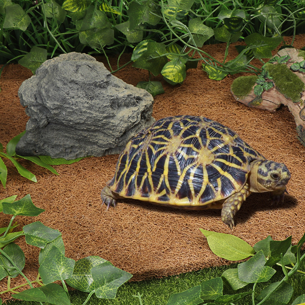 Natural Coconut Fiber Reptile  - Substrate Coconut Fiber review and price