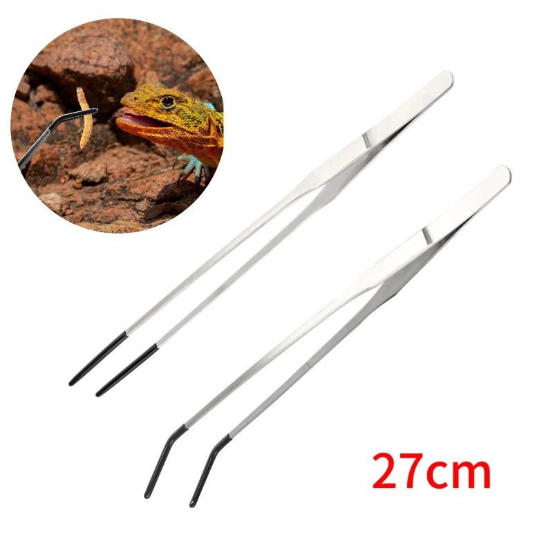 2Pcs Stainless Steel Tweezers  - Feeding Tong Stainless review and price