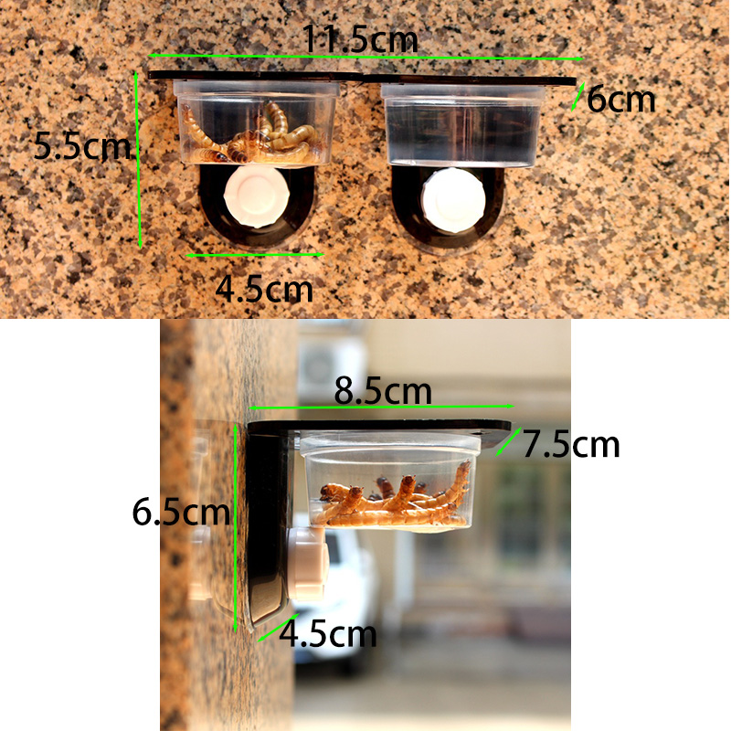 Reptile Tank Accessories Insec - Water Dish Reptile review and price