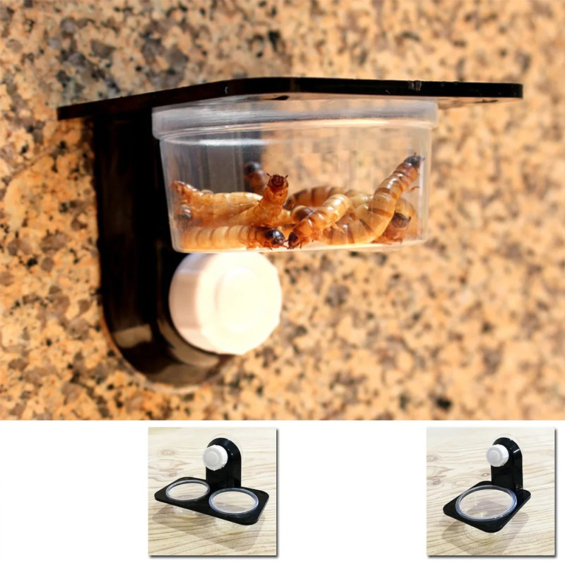 Reptile Tank Accessories Insec - Water Dish Reptile review and price