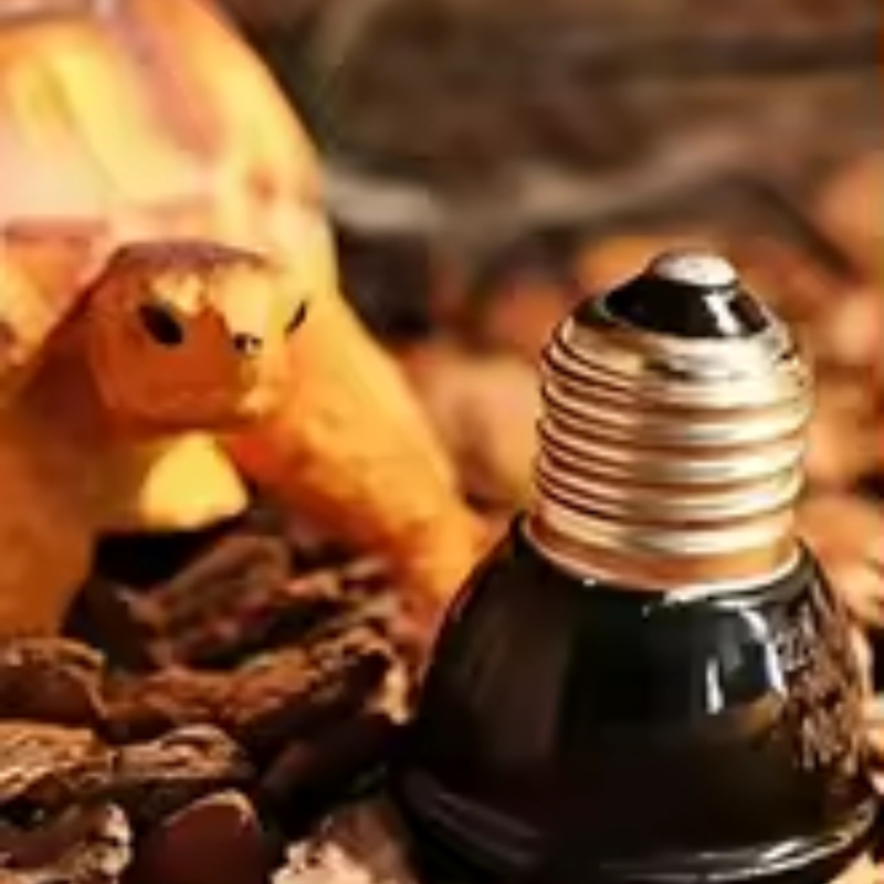 Reptile Ceramic Heat Emitter M - Ceramic Heat Emitter review and price