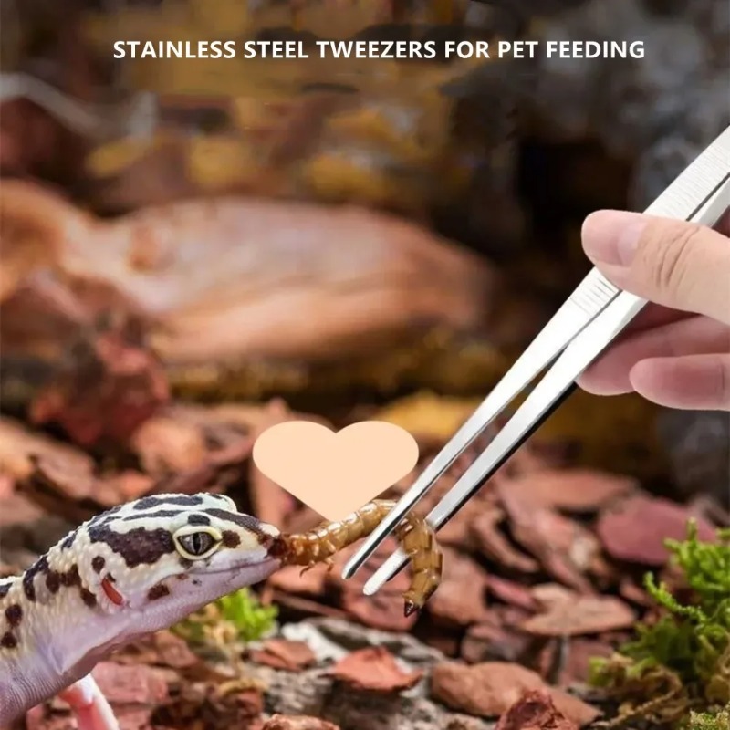 Stainless Multifuctional Steel - Feeding Tong Stainless review and price