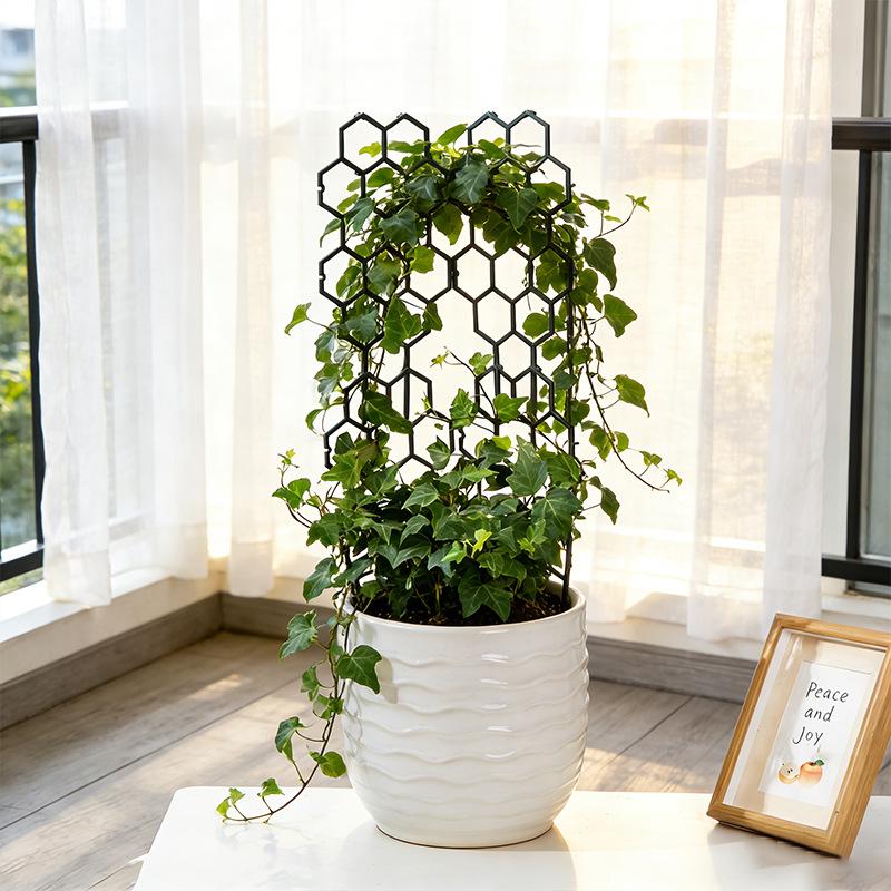 1/5Pcs Honeycomb Design Plant  - Vine Climbing Plastic review and price