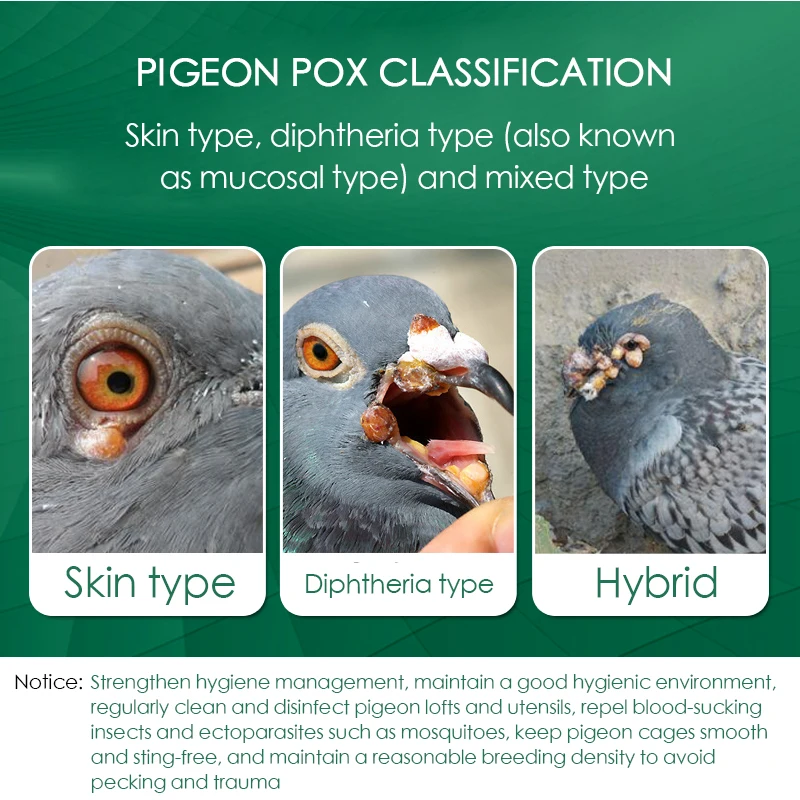 100 Tablets/Box Pigeon Pox Ora - Vitamin D3 Reptile review and price
