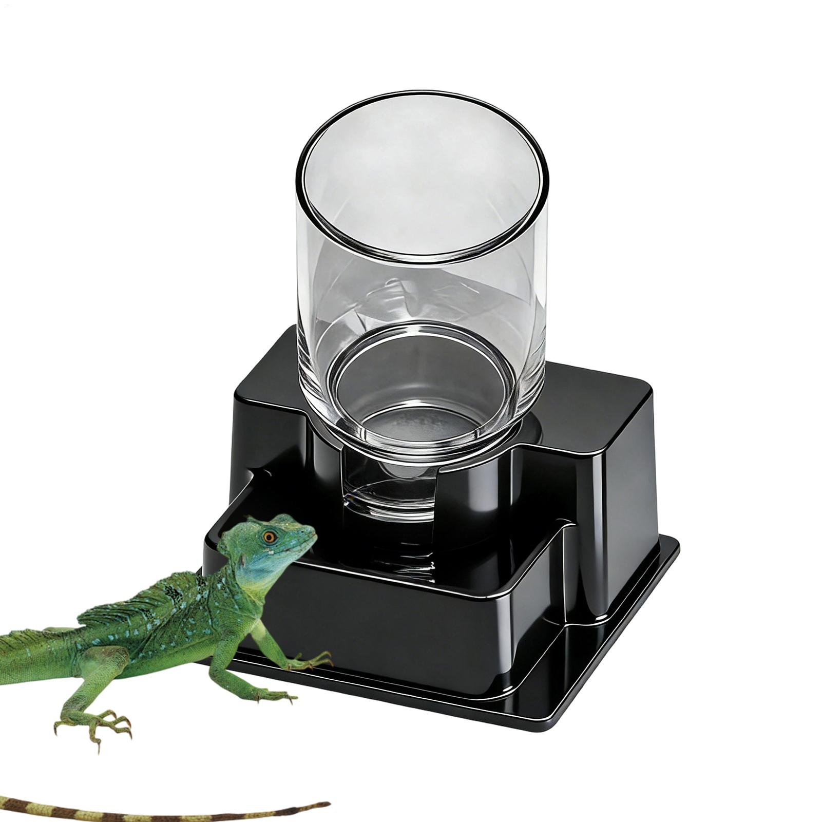 Bearded Dragon Water Fountain  - Water Dish Reptile review and price