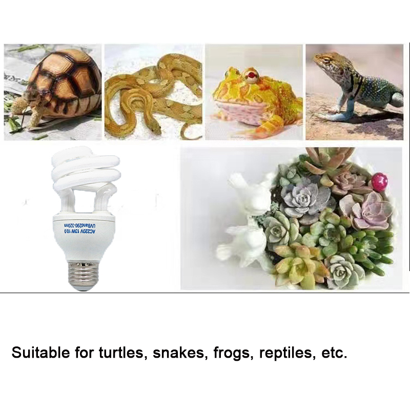 E27 13W/26W Reptile Uvb Lamp   - Calcium Powder Reptile review and price